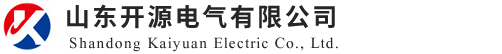 山东J9国际站备用有限公司